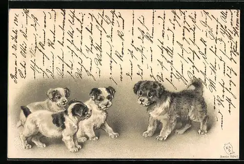 Präge-Lithographie Drei Hundewelpen mit einem grösserem Hund