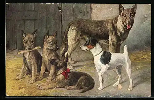AK Schäferhund mit Welpen und einem weiteren Hund