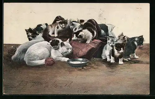 AK Katzenmutter und Kätzchenschar mit Kissen und Milchschale