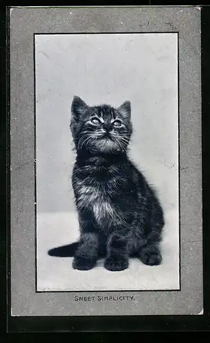 AK Kleine getigerte Katze, Portrait