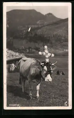 AK Kuh mit Blumenkreuz-Schmuck beim Almabtrieb