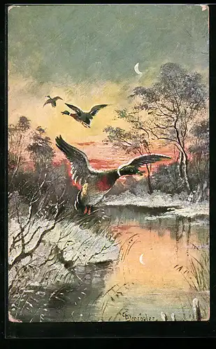 AK Fliegende Enten an einem winterlichen See
