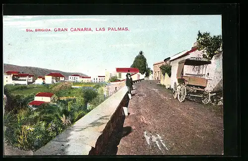 AK Las Palmas /Gran Canaria, Sta. Brigida