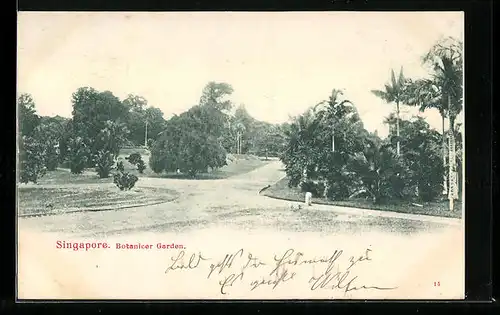 AK Singapur, Wegkreuzung im Botanischen Garten