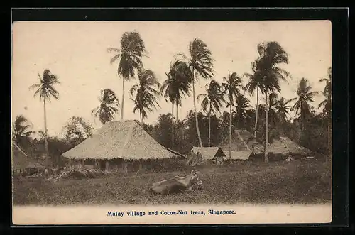 AK Singapore, Malay Village and Cocoa-Nut trees