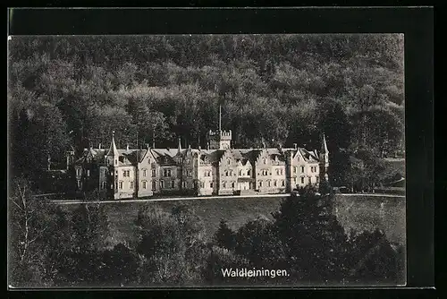 AK Waldleiningen, Blick zum Schloss