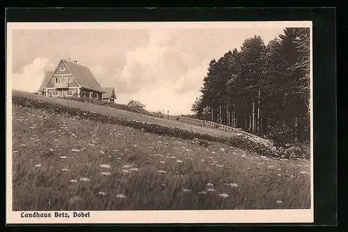 AK Dobel, Landhaus Betz