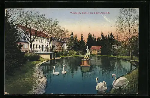 AK Villingen, Partie am Schwanenteich
