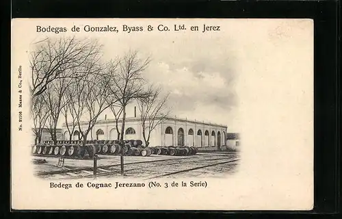 AK Jerez de la Frontera, Bodegas de Gonzalez, Byass & Co. Ltd., Bodega de Cognac Jerezano