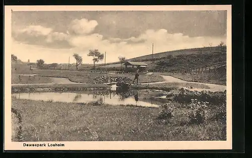 AK Losheim, Dewespark