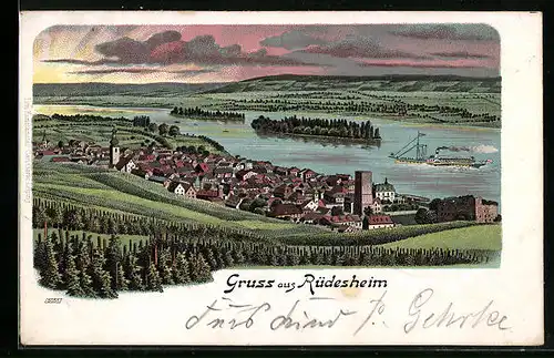 Lithographie Rüdesheim, Gesamtansicht aus der Vogelschau