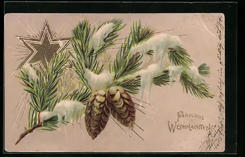 AK Fröhliche Weihnachten, Tannenzweig mit Tannenzapfen