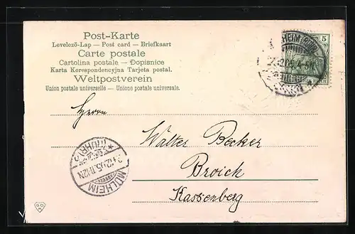 AK Verschneiter Tannenzweig zu Weihnachten