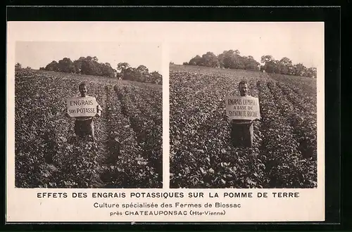 AK Chateauponsac, Culture spécialisée des Fermes de Biossac