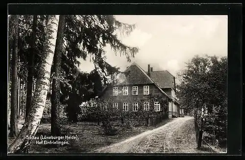 AK Soltau /Lüneburger Heide, Hof Einfrielingen