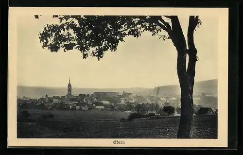 AK Ebern, Panorama