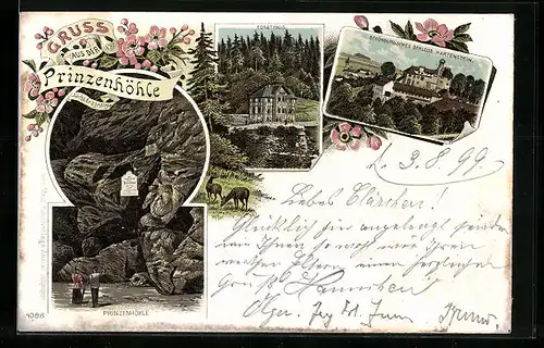 Lithographie Hartenstein, Prinzenhöhle, Forsthaus und Schönburgisches Schloss Hartenstein