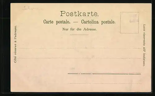 Lithographie Schaffhausen, Oberthorthurm mit Oberstadt