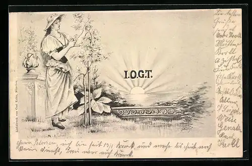 AK IOGT, Junge Dame mit Hut beim Rosenschneiden am See mit untergehender Sonne