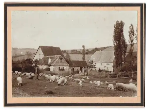 Fotografie unbekannter Fotograf und Ort, Schäfer und Schäferhund mit seiner Schafherde vor einem Gutshof