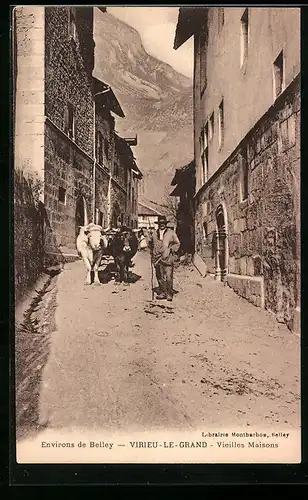 AK Virieu-le-Grand, Vieilles Maisons