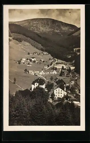 AK Petzer, Ortsansicht mit Brunnberg