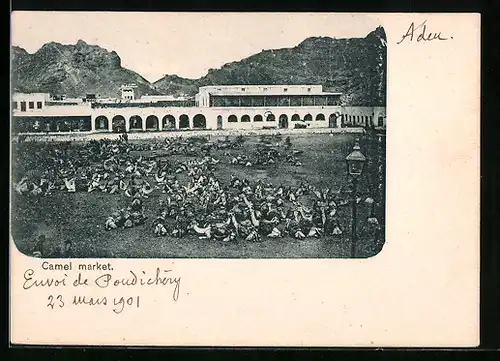 AK Aden, Camel market