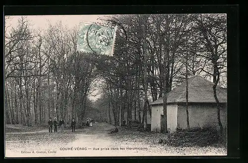 AK Couhé-Vérac, Vue prise dans les Heronnieres