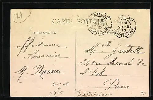 AK Trüffelschwein bei der Suche