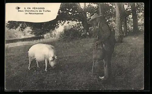 AK Trüffelschwein mit Bauer