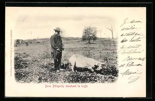 AK Deux Périgords cherchant la truffe, Mann mit Trüffelschwein