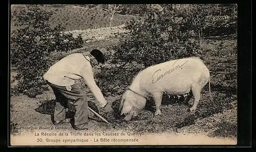 AK Bauer mit Trüffelschwein