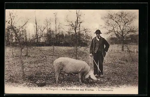 AK Trüffelschwein auf einem Feld
