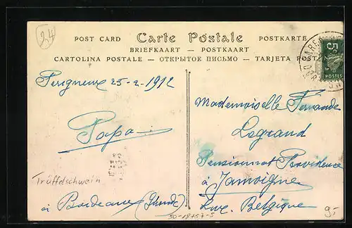 AK Bauer liest Trüffel auf, Trüffelschwein