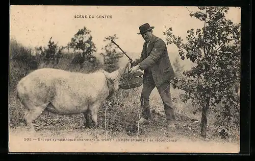AK Bauer füttert ein Trüffelschwein
