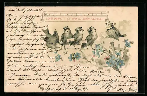 AK Vögel singen auf einem Ast