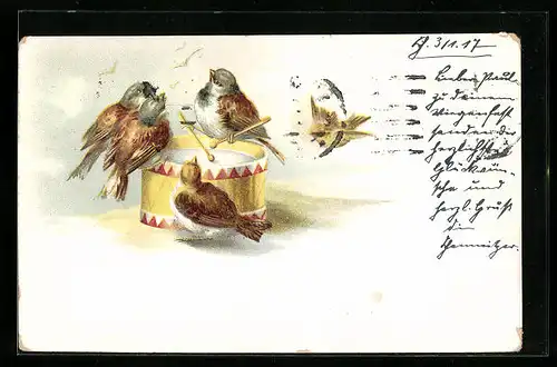 AK Vögel spielen auf einer Trommel
