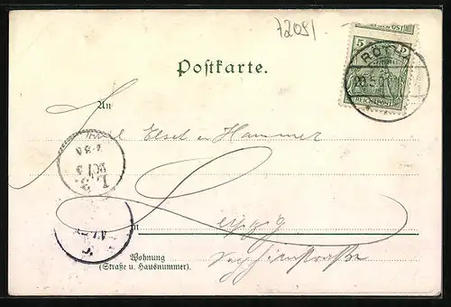 Lithographie Rötha /Sa., Gasthaus Obstweinschänke mit Umgebung, Weinkeller