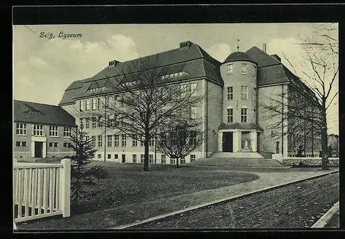 AK Zeitz, Lyzeum mit Anlagen und Strasse
