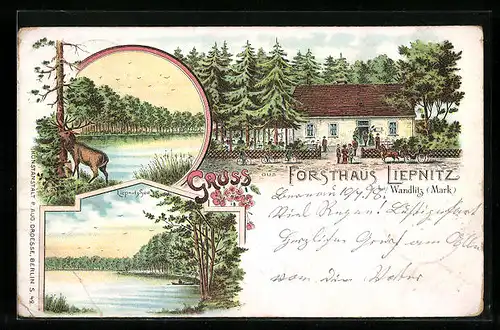 Lithographie Wandlitz /Mark, Gasthof Forsthaus Liepnitz mit Garten, Liepnitzsee-Partien