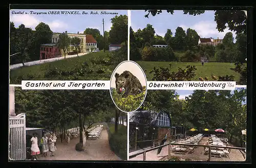 AK Waldenburg /Sa., Gasthof und Tiergarten Oberwinkel mit Garten und Strasse