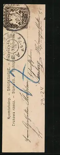 Mini-AK Elegante Dame mit Rose