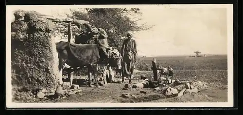 Mini-AK Cairo: Sakieh