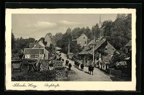 AK Schierke /Harz, Viehtrieb auf der Dorfstrasse