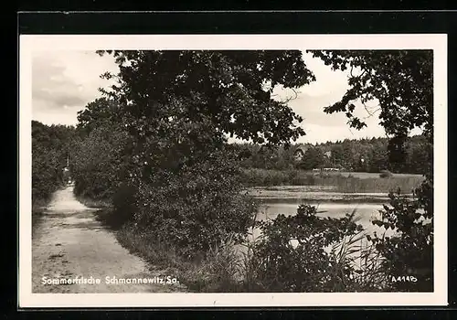 AK Schmannewitz /Sa., Weg am See