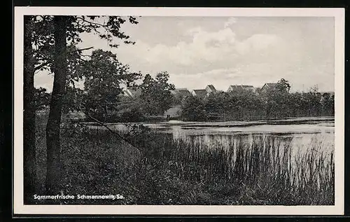 AK Schmannewitz /Sa., Blick über den See