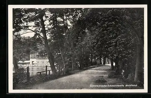 AK Schmannewitz, Weg am Waldteich