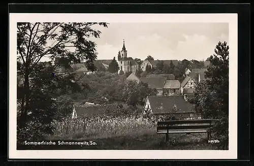 AK Schmannewitz /Sa., Teilansicht des Ortes
