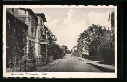 AK Gnadenberg Kreis Bunzlau, Strasse mit Wohnhäusern