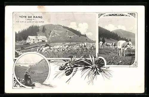 AK Tete de Rang, Hotel Tete de Rang mit weidenden Kühen